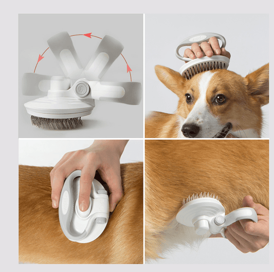 Furcare Pro: Self-Cleaning Wire Brush
