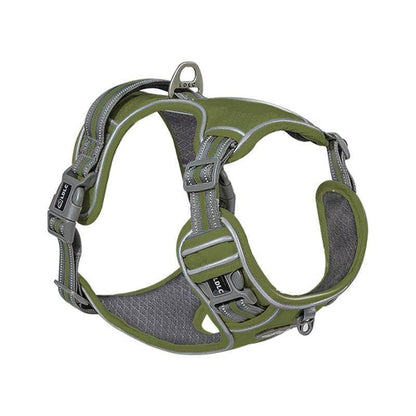 Explosive Red Adventure Dog Harness