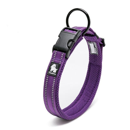 Reflective Mesh Dog Collar with Stainless Steel Buckle