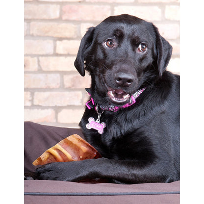 Pig Ears for Dogs - 10pcs