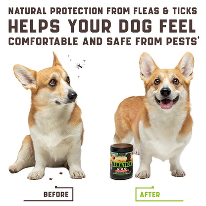 Flea and Tick Prevention Chewable for Dogs - No Collars Needed