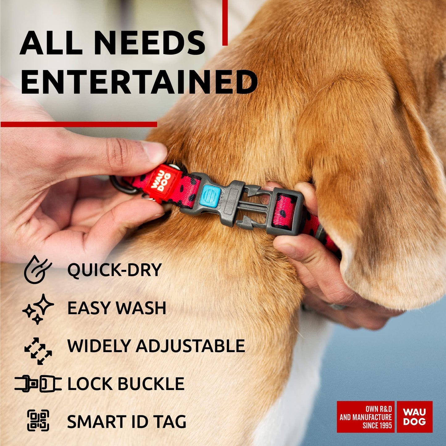 Nylon Dog Collar - Adjustable Dog Collar