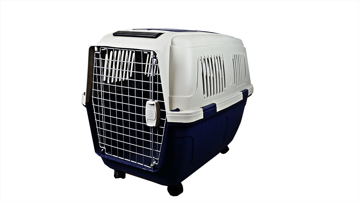 A&E Cage CD8 Assorted 40 x 29 x 30 in. Deluxe Pet Carrier