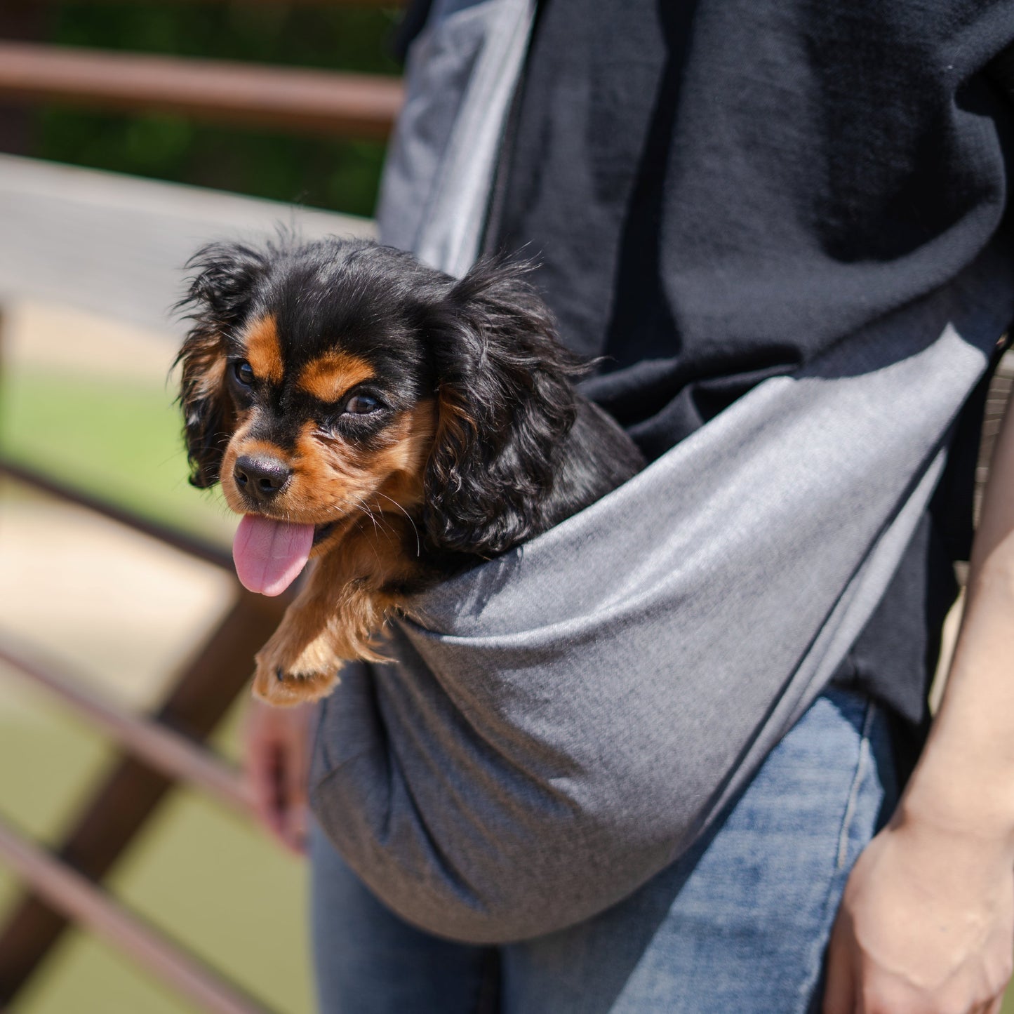 Lof Mesh Pet Sling Bag