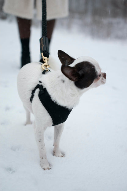 Bonne et Filou: Bundle Shearling Fur Grip + Rope Leash for Dogs