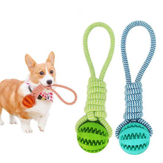 Durable rubber ball chew toy with cotton rope for dogs | The Pet Riot