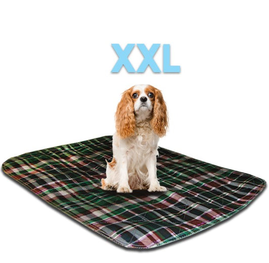 Lennypads 36 x 36 in. 2XL Washable Pet Pad