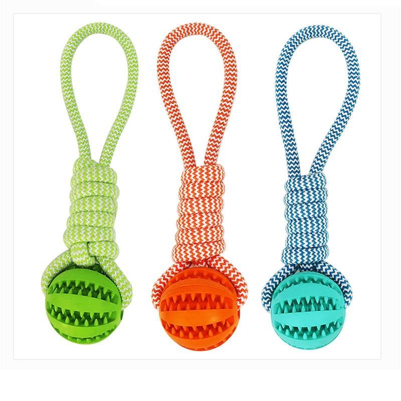Non-toxic rubber chew toy with rope for training | The Pet Riot