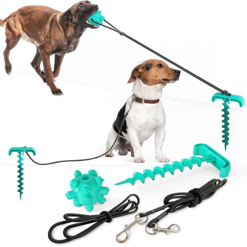 Outdoor Adventure Dog Leash Toy – Durable Interactive Play Toy for Dogs | The Pet Riot