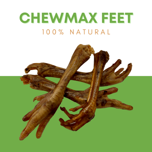 Premium Oven-Baked Turkey Feet Dog Treats 1 lb – The Pet Riot 4