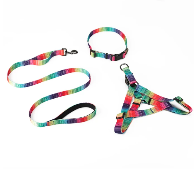 Rainbow Matching Leash & collars Set