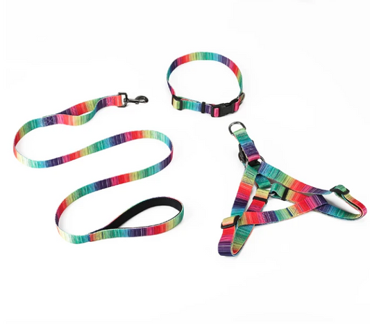 Rainbow Matching Leash & collars Set