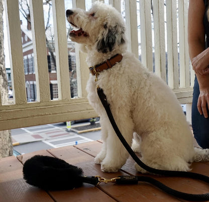 Bonne et Filou: Bundle Shearling Fur Grip + Rope Leash for Dogs