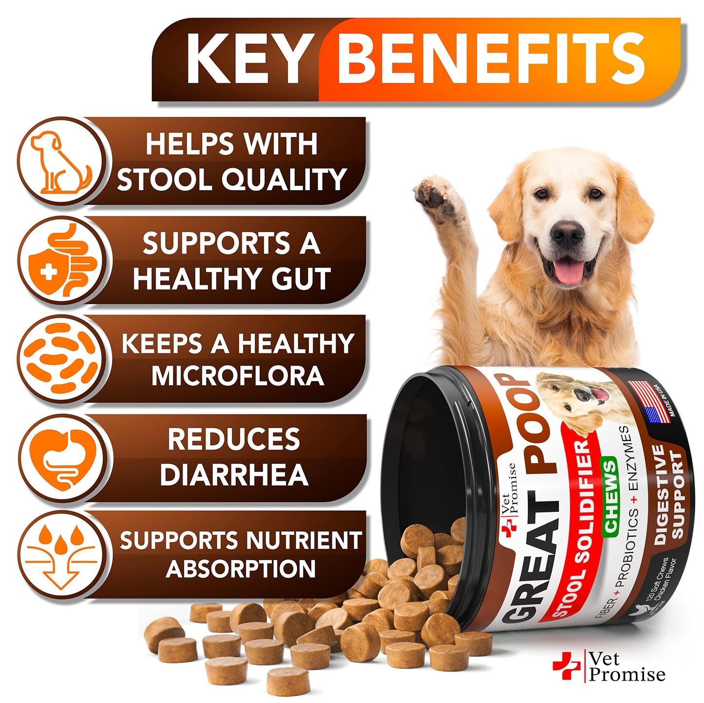 Great Poop Probiotics for Dogs - Stool Softener