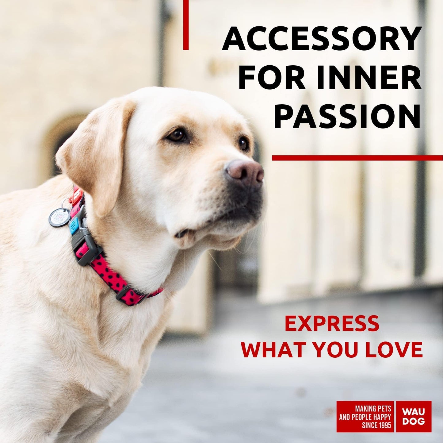 Nylon Dog Collar - Adjustable Dog Collar