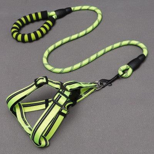 Adjustable Nylon Dog Leash With Chest Harness