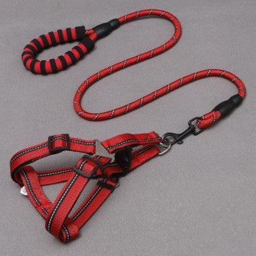 Adjustable Nylon Dog Leash With Chest Harness