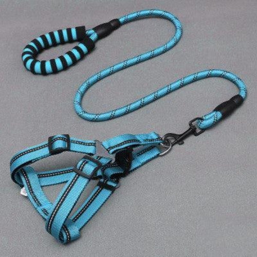 Adjustable Nylon Dog Leash With Chest Harness