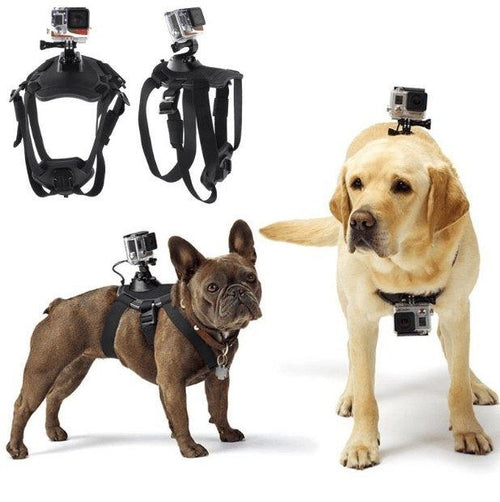 Adventure Paws Camera Mount Harness For Dogs