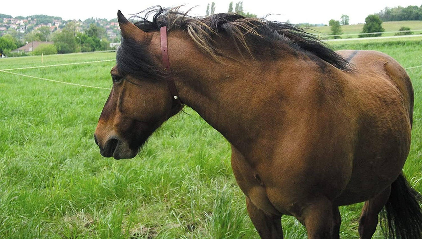 ALZOO Herbal Horse Collar – Effective Insect Repellent