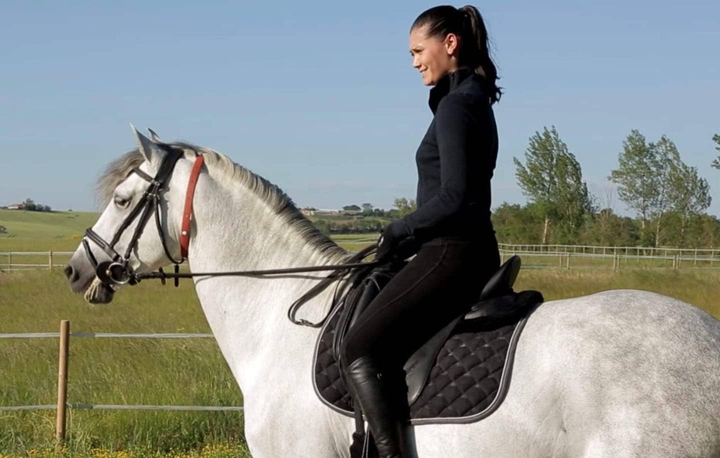 ALZOO Herbal Horse Collar – Effective Insect Repellent