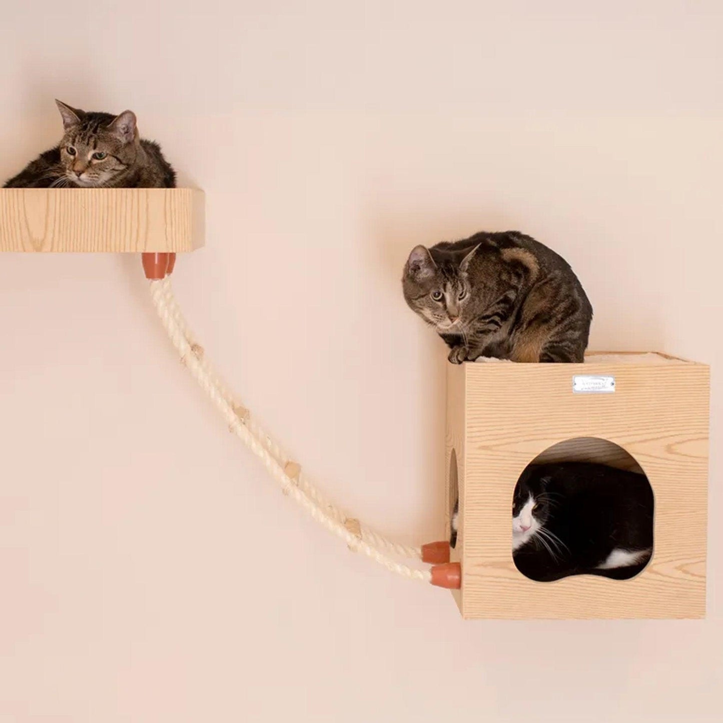 Armarkat Wall-Mounted Cat Climbing Ladder