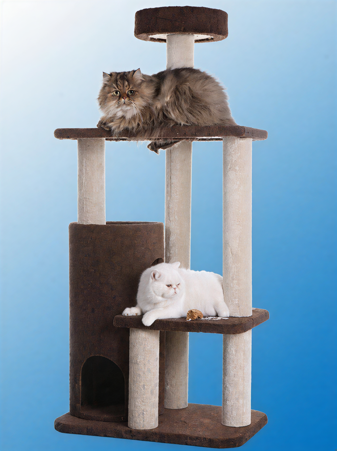 Armarkat 3-Level Carpeted Real Wood Cat Tree Condo – 56-Inch Tower | The PetRiot