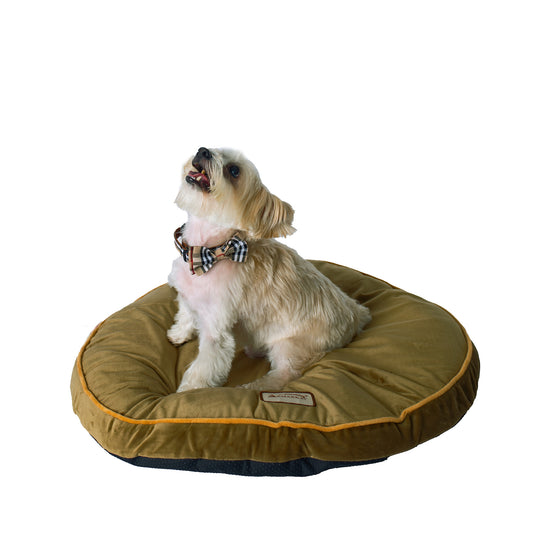AeroMar Armarkat Sage Green Pet Bed Pad, 26-Inch