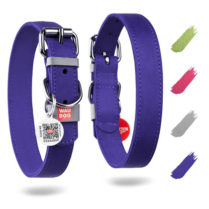 Long Lasting Leather Dog Collar - Blue