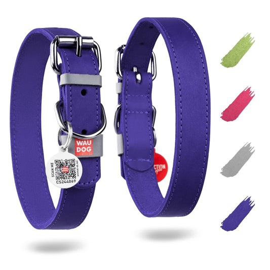 Long Lasting Leather Dog Collar - Blue