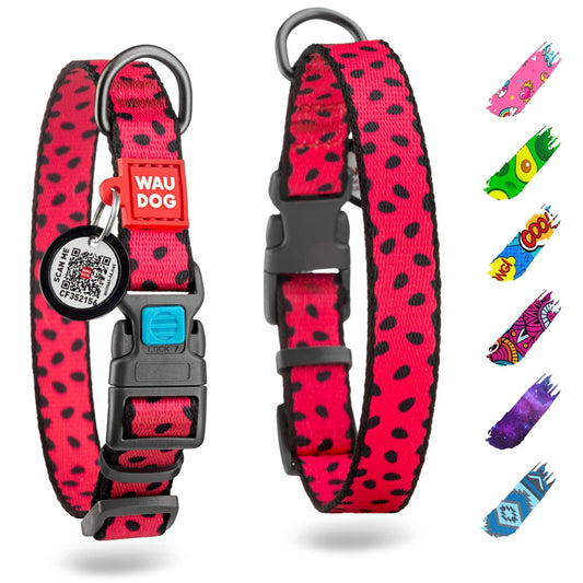 Nylon Dog Collar - Adjustable Dog Collar
