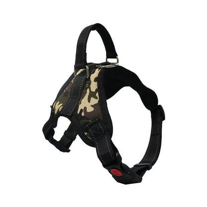Premium Nylon Dog Collar Set