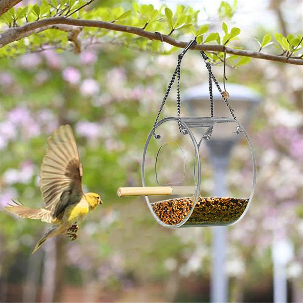 Birdie Buffet: Acrylic Seed Storage Delight