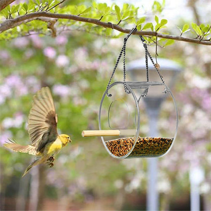 Birdie Buffet: Acrylic Seed Storage Delight