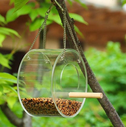 Birdie Buffet: Acrylic Seed Storage Delight