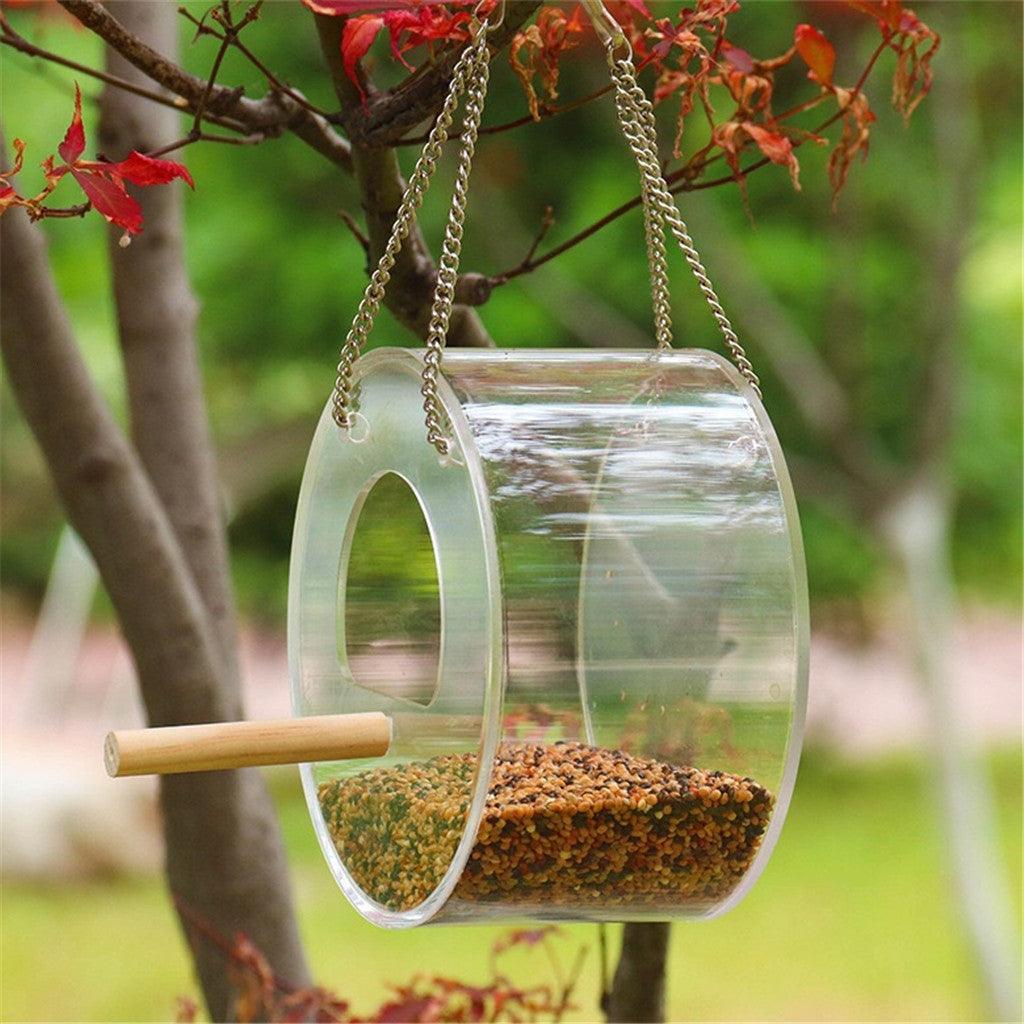 Birdie Buffet: Acrylic Seed Storage Delight
