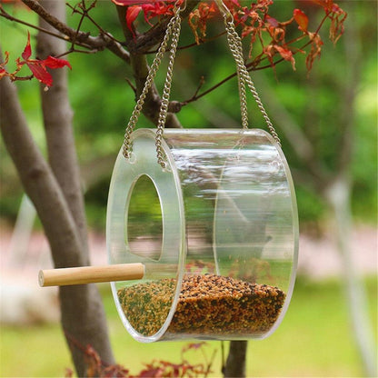 Birdie Buffet: Acrylic Seed Storage Delight