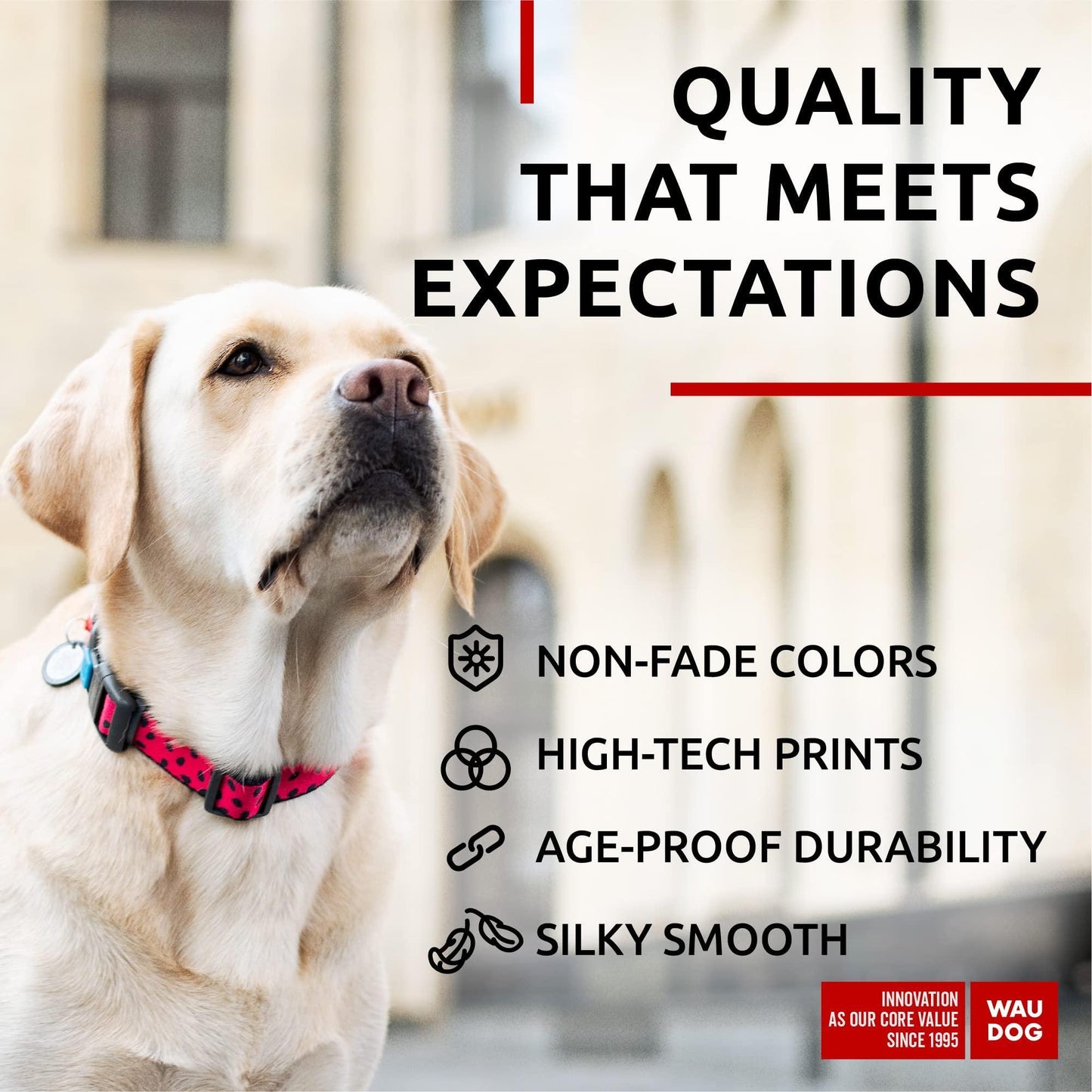 Nylon Dog Collar - Adjustable Dog Collar