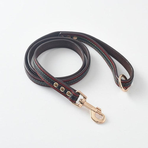 Ultimate Pet Walking Set: Stylish Pu Leash And Collar Combo