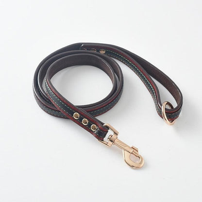 Ultimate Pet Walking Set: Stylish Pu Leash And Collar Combo