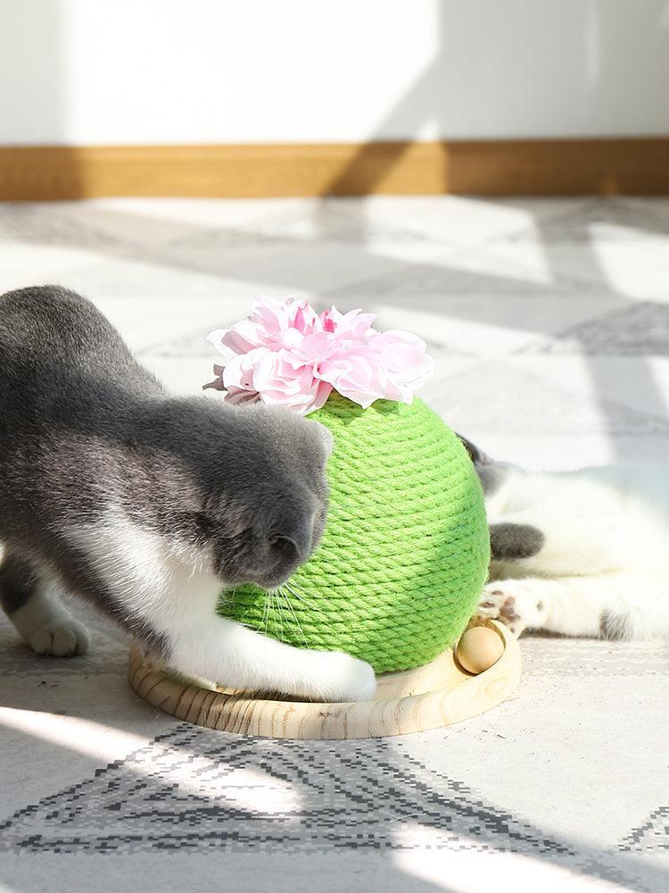 Cactus Paw-Purrfect Cat Grinding Toy