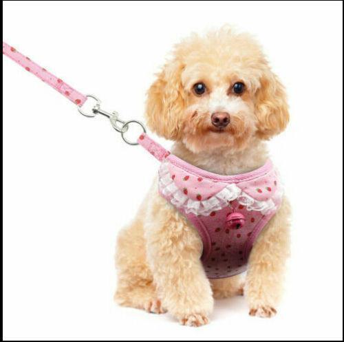 Comfortable Bow Tie Striped Dog Leash With Bells