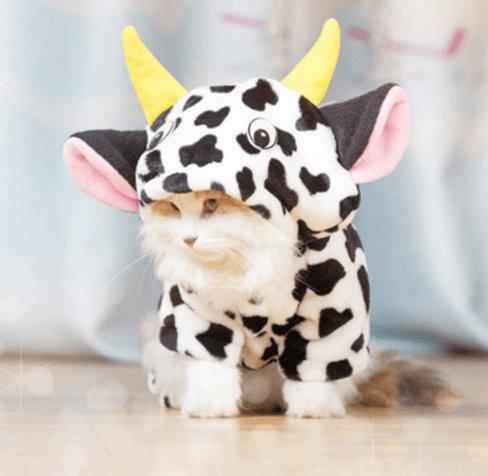 Cozy Cow Pet Costume Sweater - Warm Winter Clothing