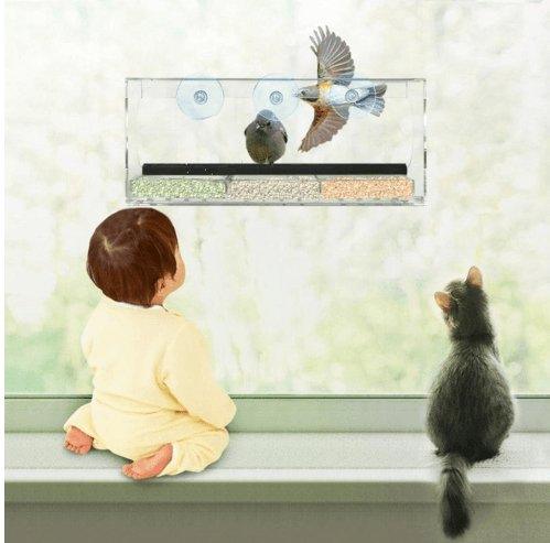 Crystal Clear Acrylic Pet Feeder