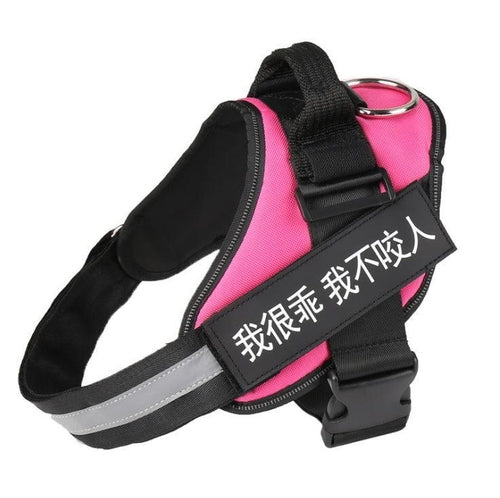 Customizable Reflective No-Pull Dog Harness