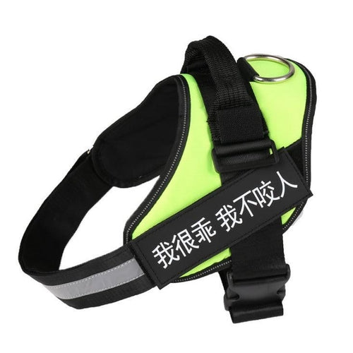 Customizable Reflective No-Pull Dog Harness