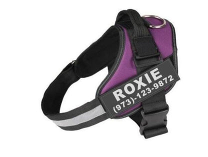 Customizable Reflective No-Pull Dog Harness