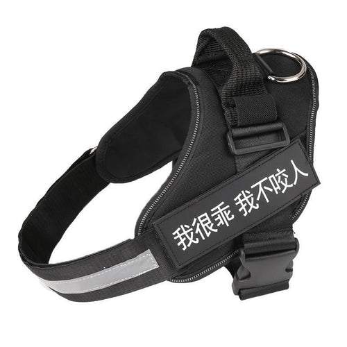 Customizable Reflective No-Pull Dog Harness