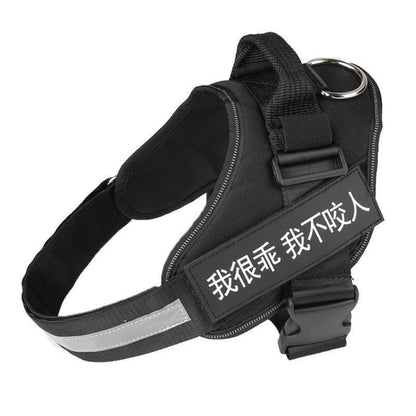 Customizable Reflective No-Pull Dog Harness