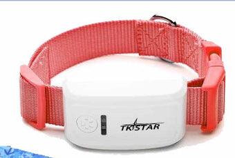 Pettrack Gps: The Ultimate Pet Locator Device